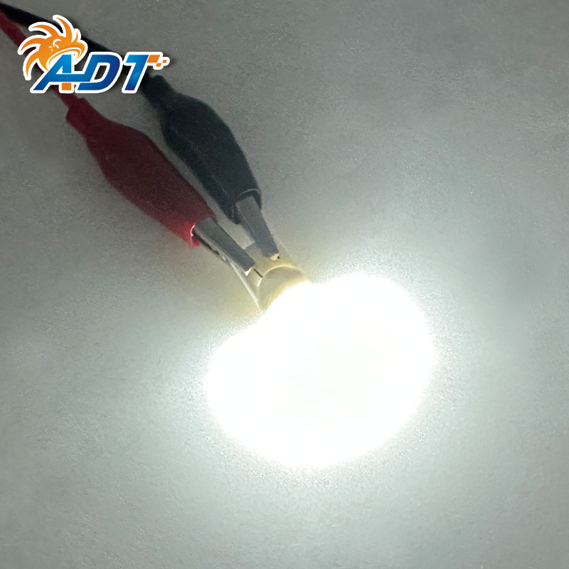 194SMD-P-2FCW(Frosted)